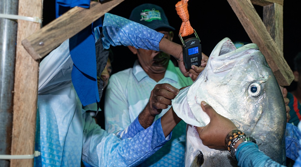 Turnamen mancing di kawasi web 3